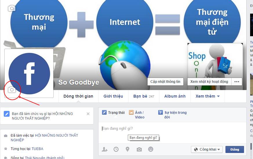 Hướng dẫn cách thay ảnh đại diện (Avatar) Facebook chuẩn đẹp lung linh 1