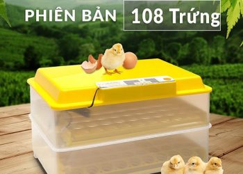 máy ấp trứng